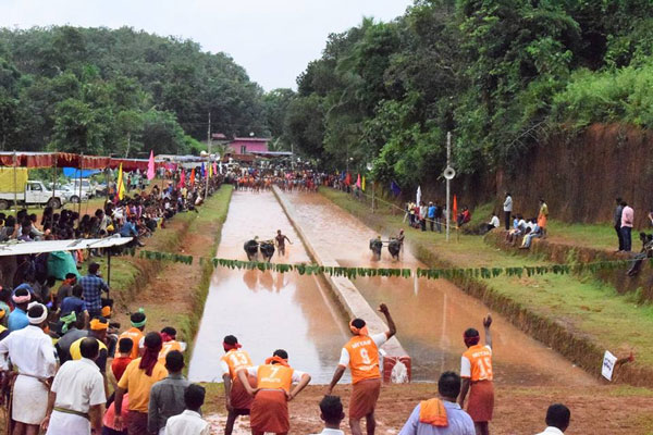 kambala-function-1