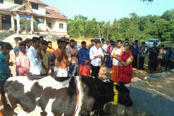 gau-pooja